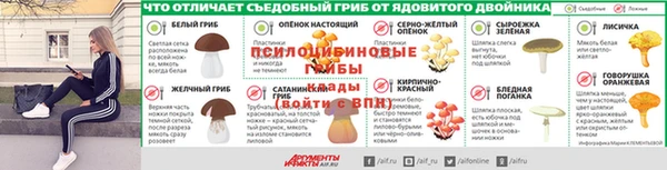 прущая мука Дмитров
