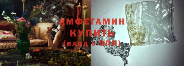 сатива Дмитровск