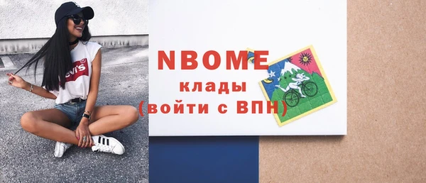 сатива Дмитровск